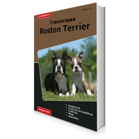 Buchcover Boston Terrier