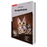 Buchcover Bengalkatze