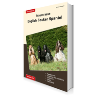 Buchcover English Cocker Spaniel