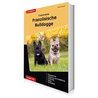 Buchcover Traumrasse: Französische Bulldogge