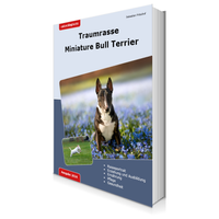 Buchcover Miniature Bullterrier